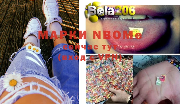 прущие грибы Ступино